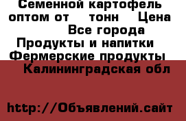 Семенной картофель оптом от 10 тонн  › Цена ­ 11 - Все города Продукты и напитки » Фермерские продукты   . Калининградская обл.